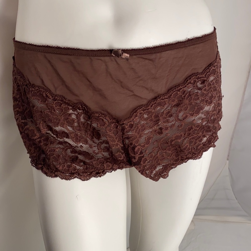 Delta Burke brown nylon panty 3x